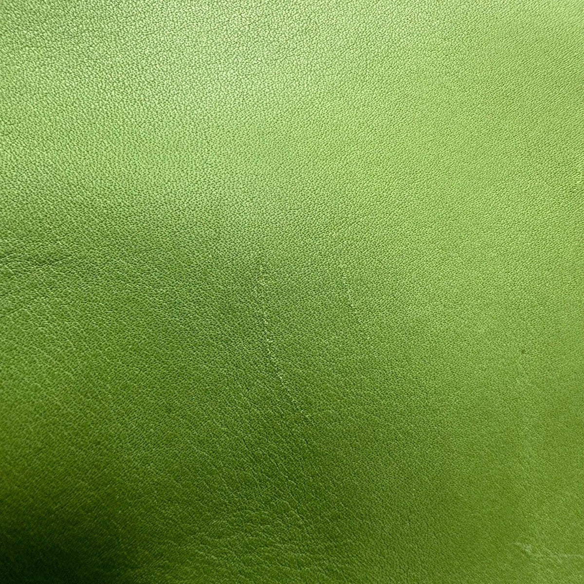 Vintage Coach Ergo Mini Green Leaf 9027 Leather Bag Purse Satchel RARE